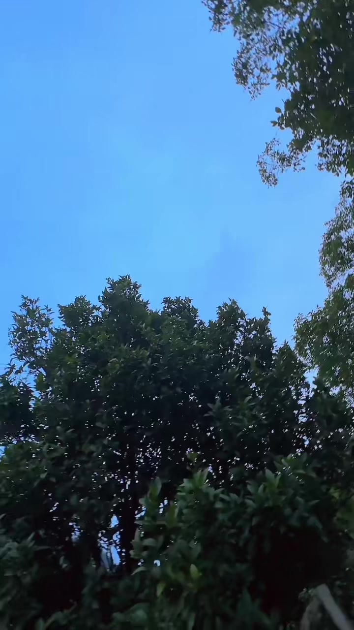 @Sanu lama