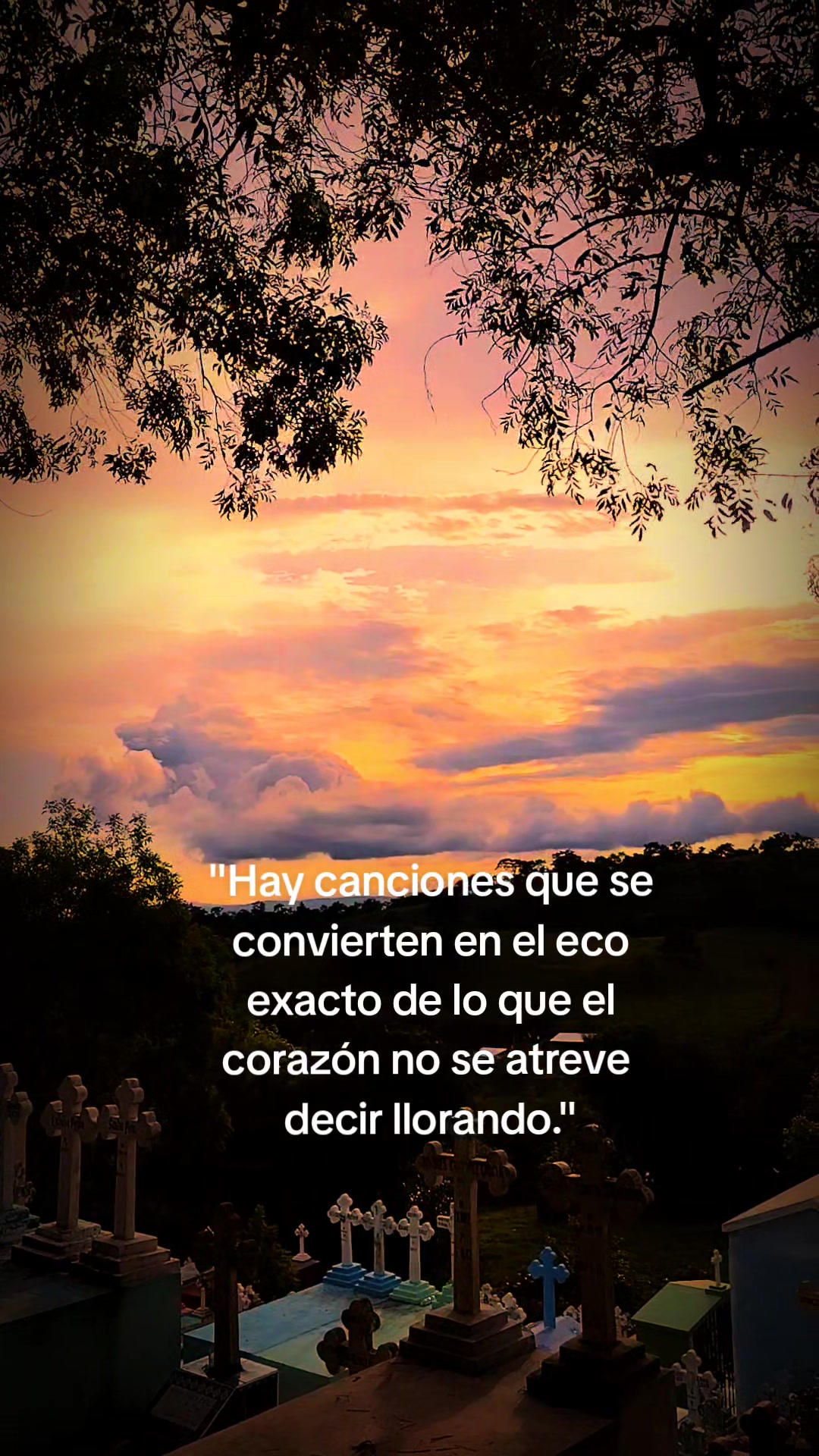 @Chelito_🥷🔥