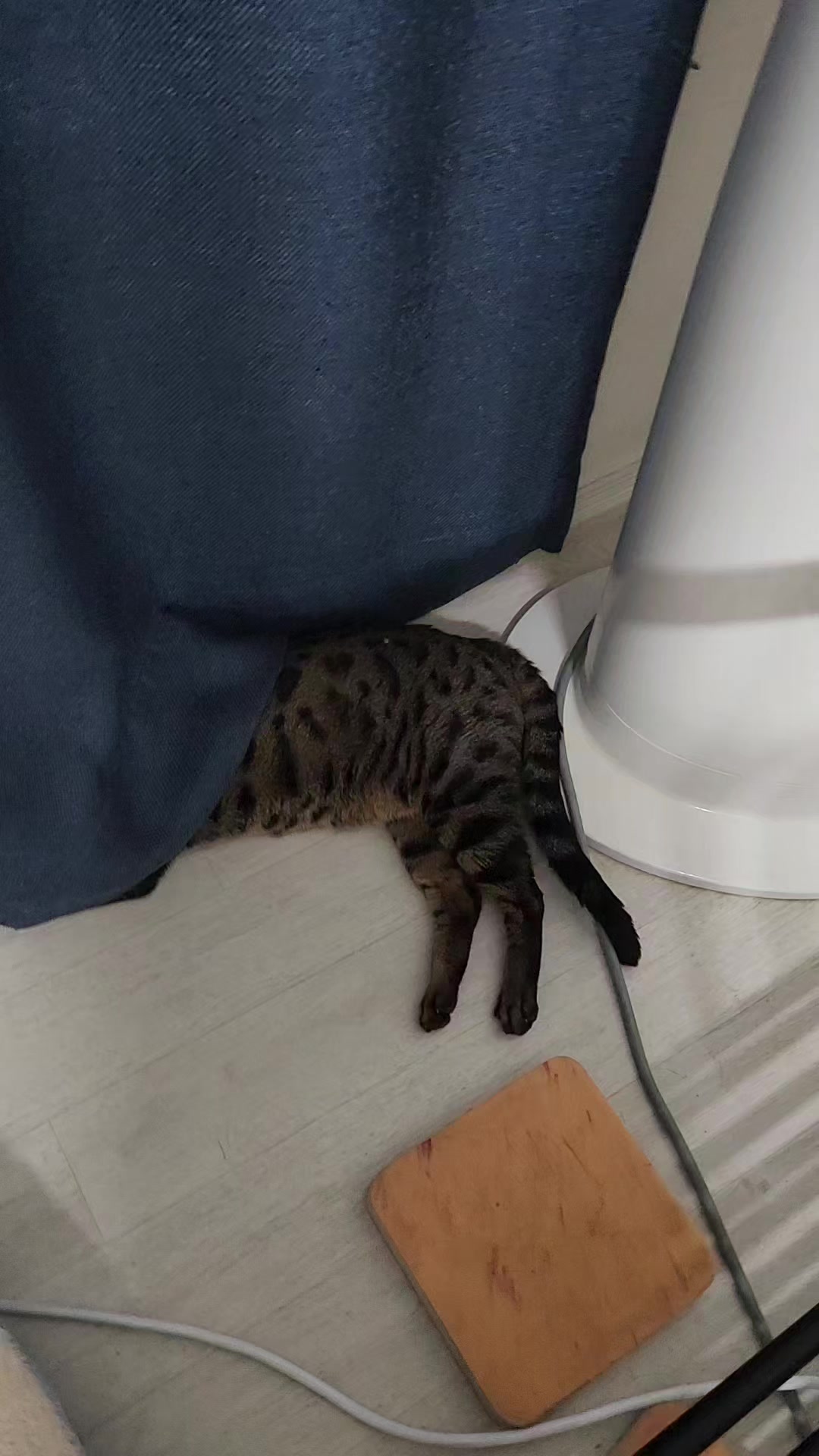 @심심해