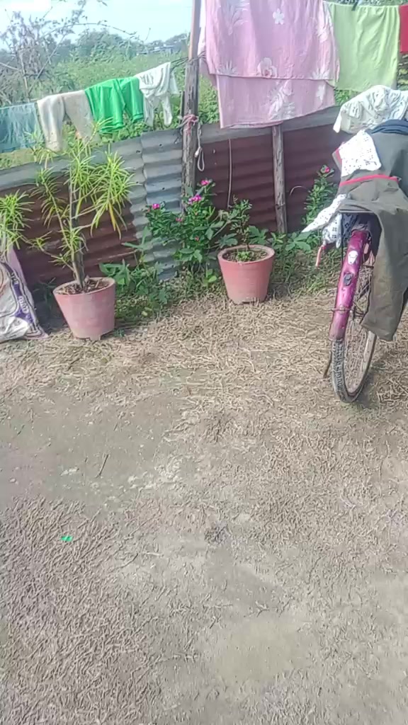 @Thakur_raja☠️