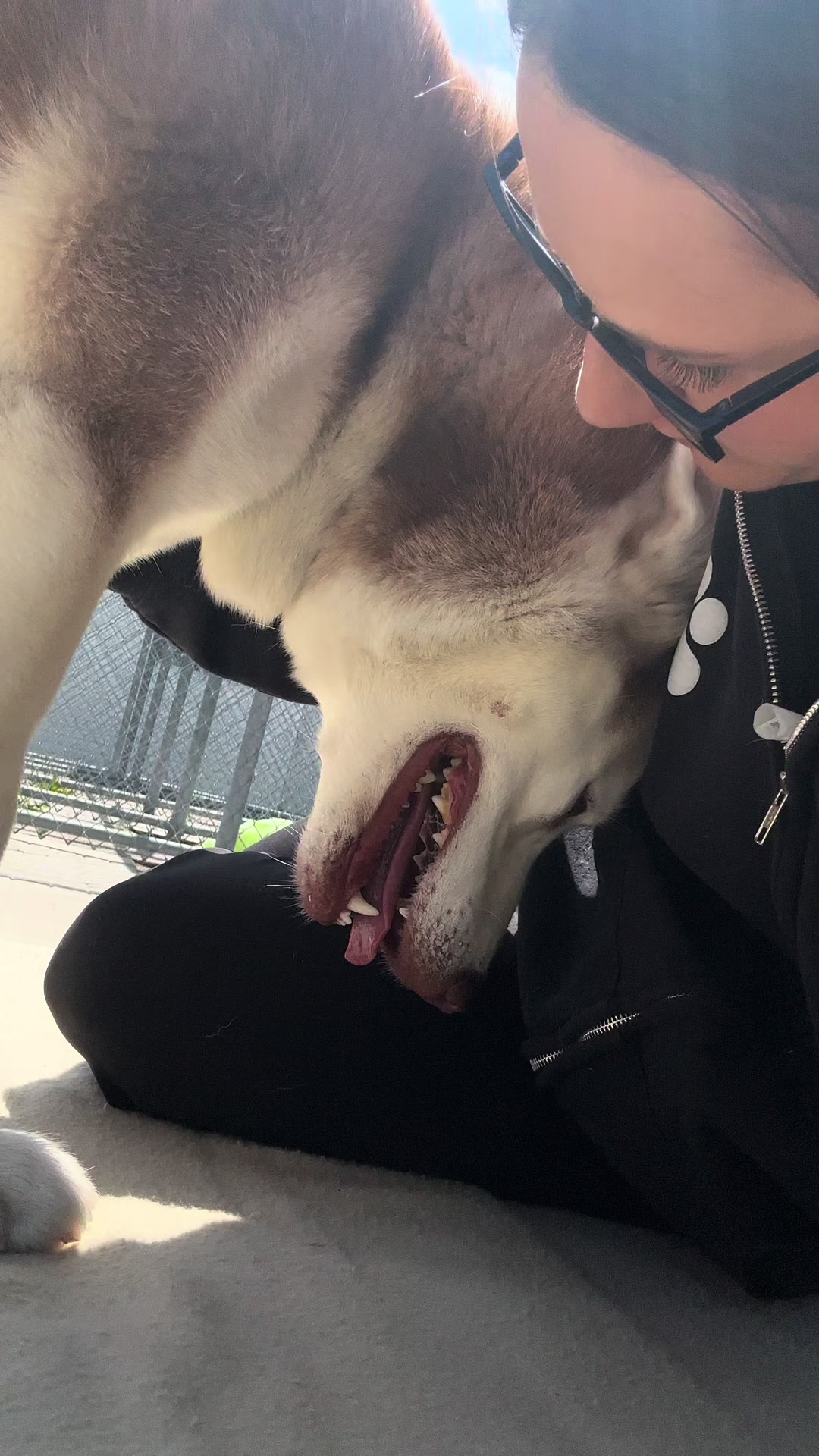 @CambridgeHumaneSocty