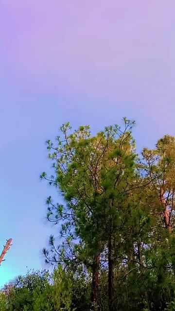 @ishfaqkhan5873