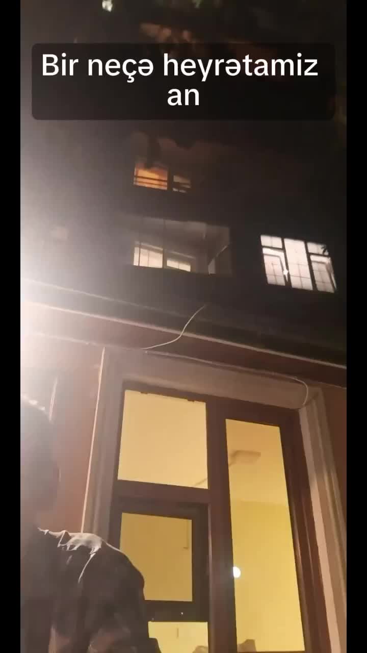 @ncmddinismaylov