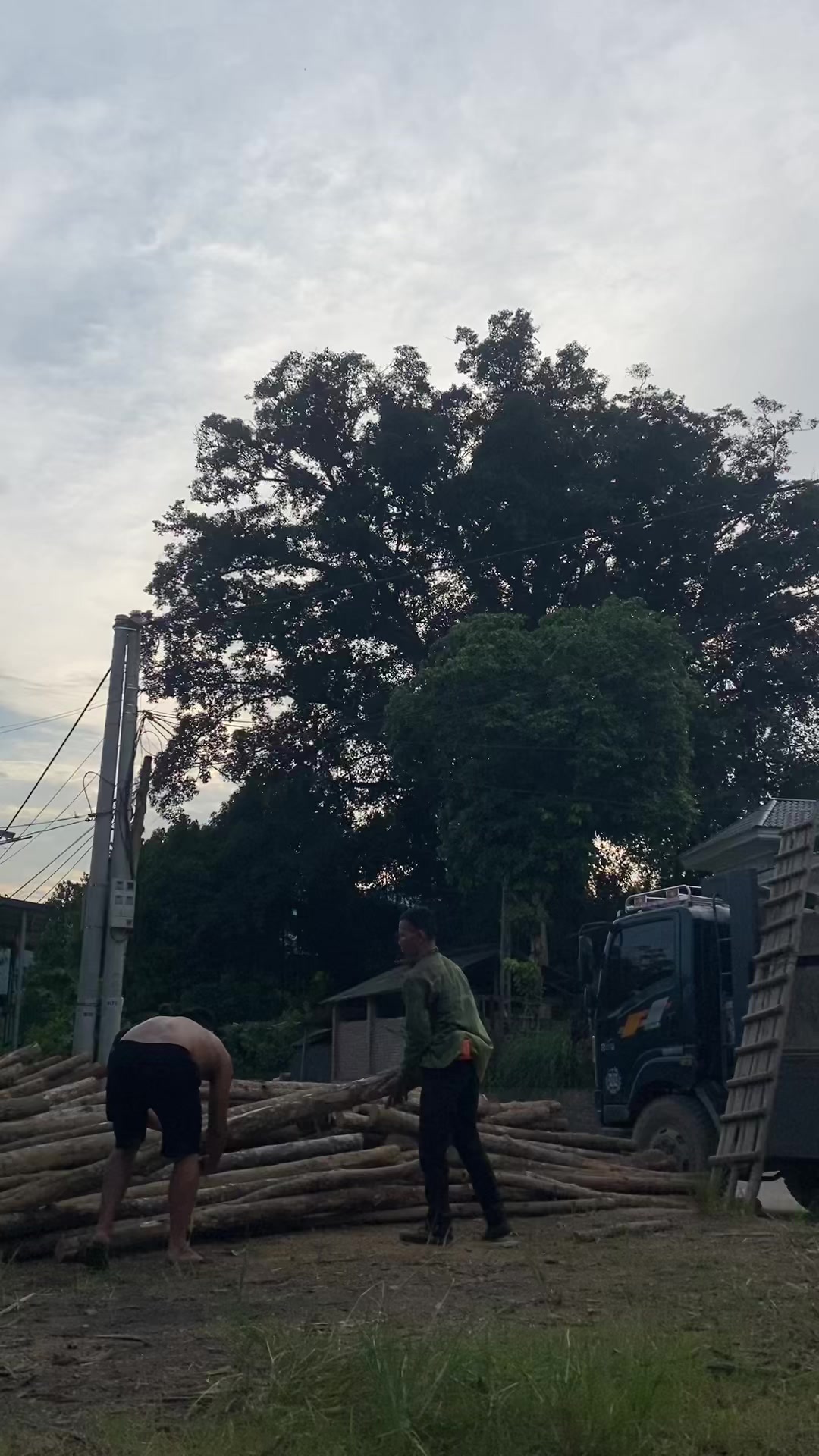 @Nông đức long