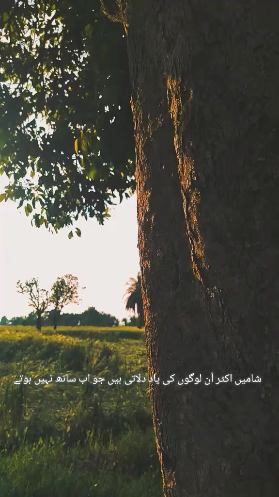 @HassanMehmood