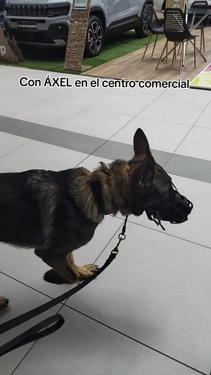 @Julio