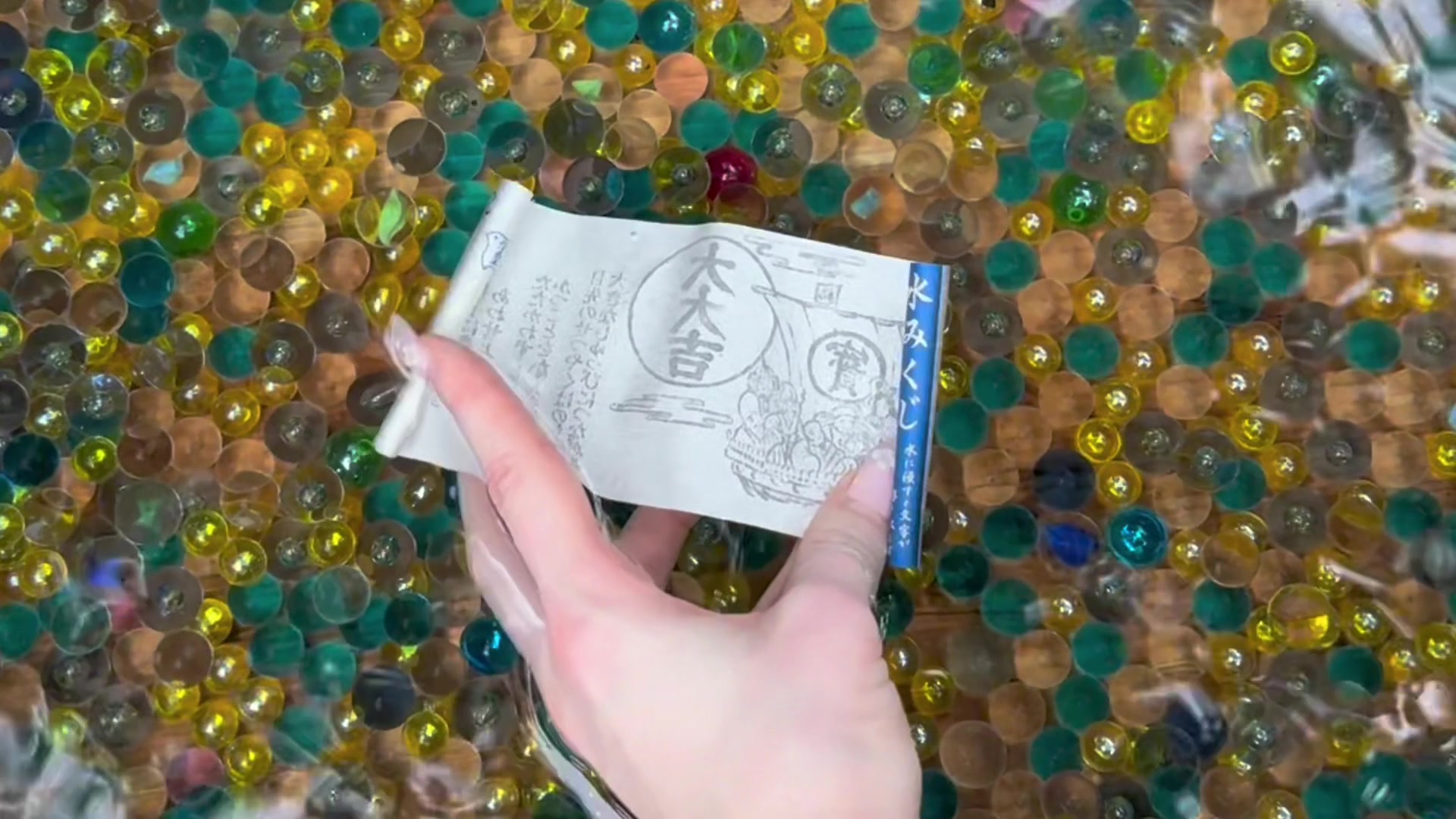 @クララ ブラン 🇫🇷🐙