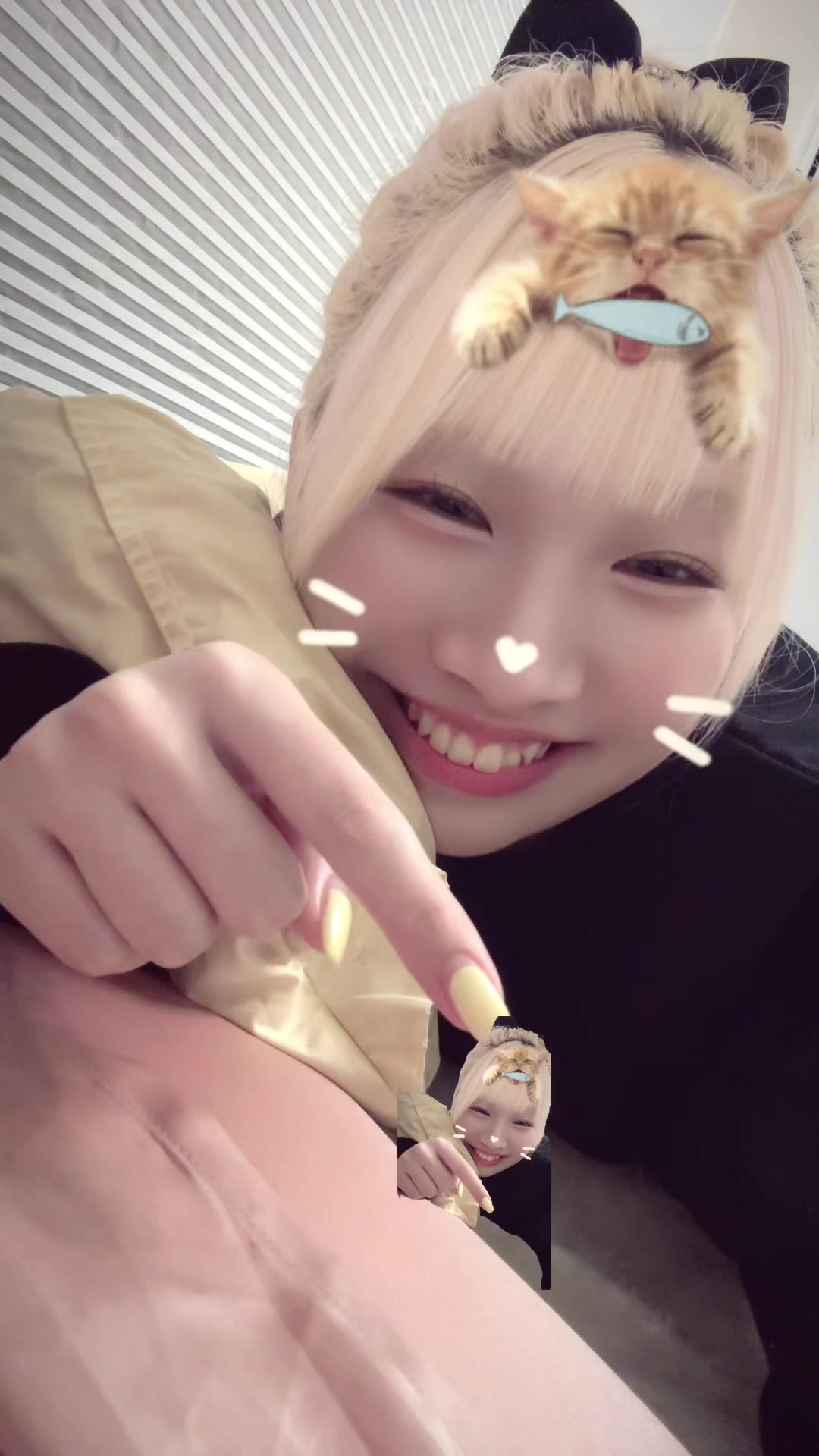 @ﾀｲﾗ&ensp;ﾋﾅﾉ