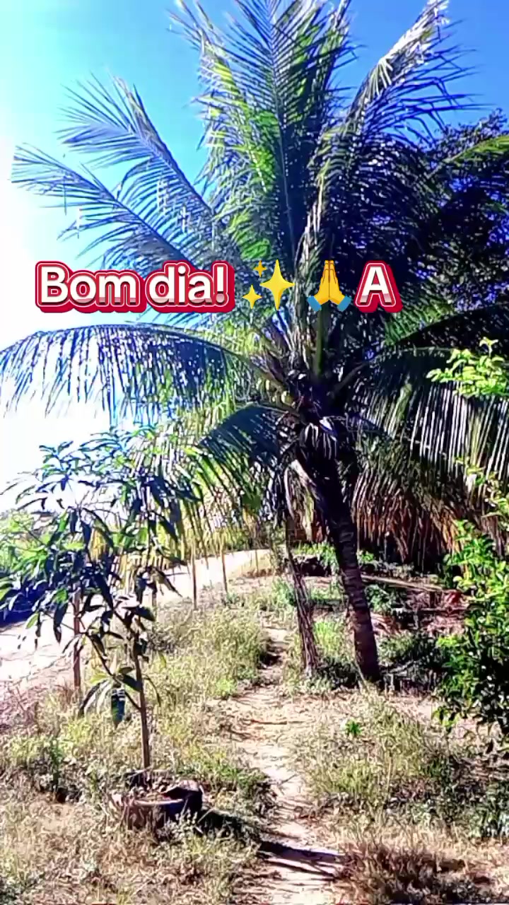 @Potiraguá Bahía e região
