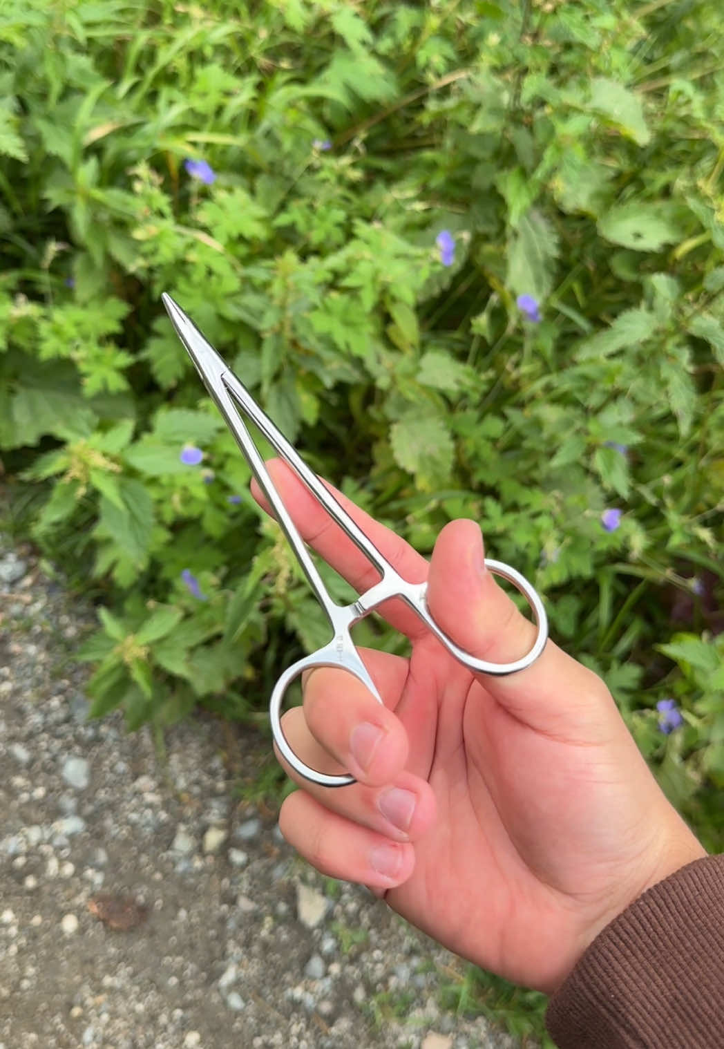 @Your future surgeon🐉