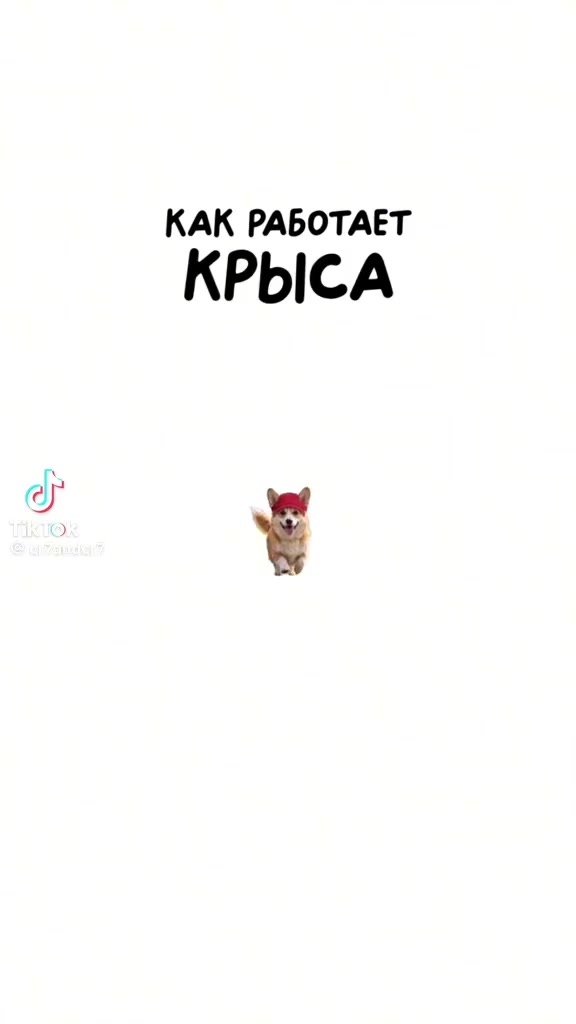 @yurachka__kr