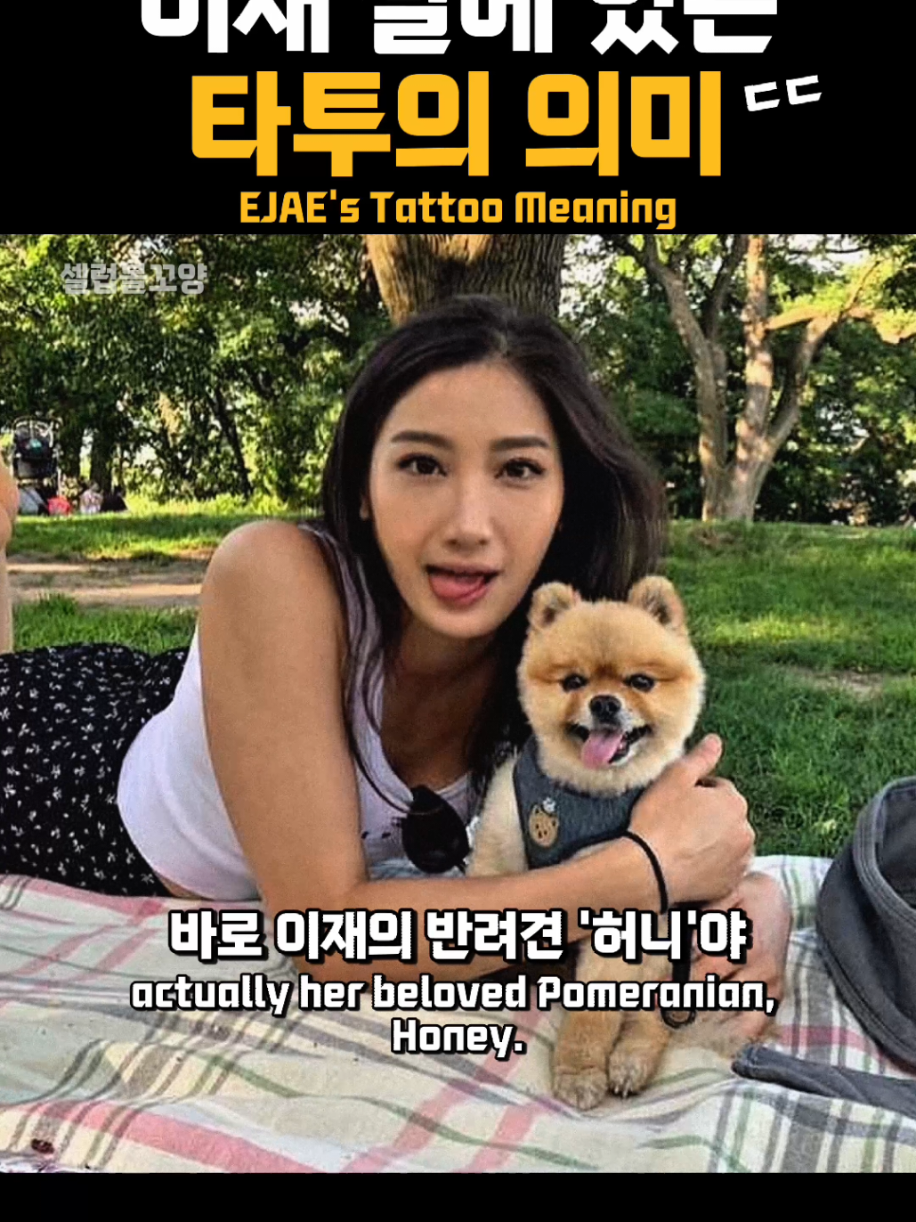 @셀럽볼꼬양