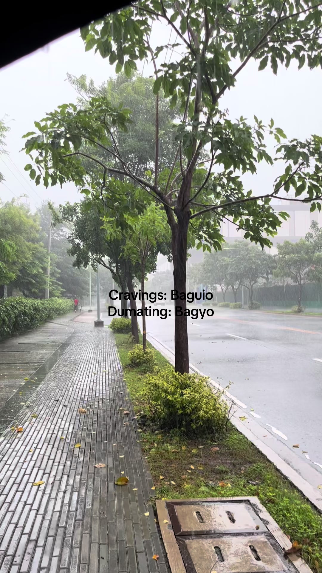 @Caloy