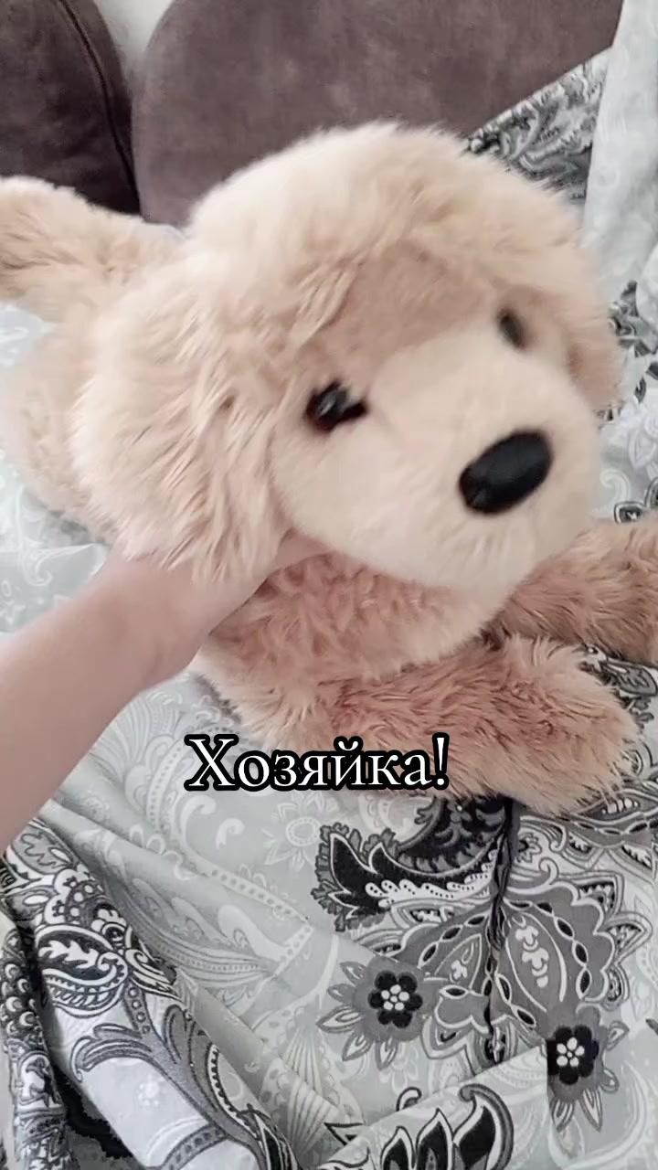 @ᴩозоʙи ᴋᴀйᴧᴀ❀