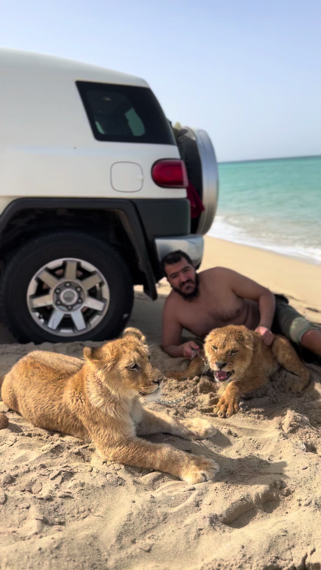 @مؤيد التركي 🐅🐆