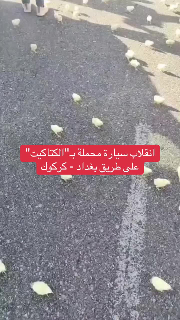 @عاجل وبس