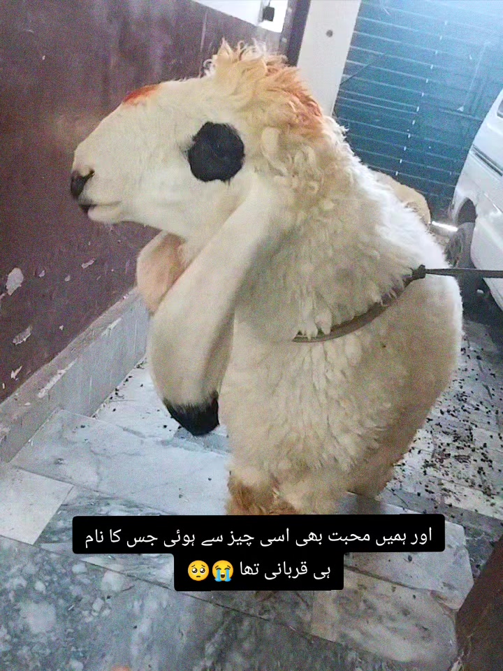 @𝘼𝙗𝙞𝙞𝙞🚩🖤