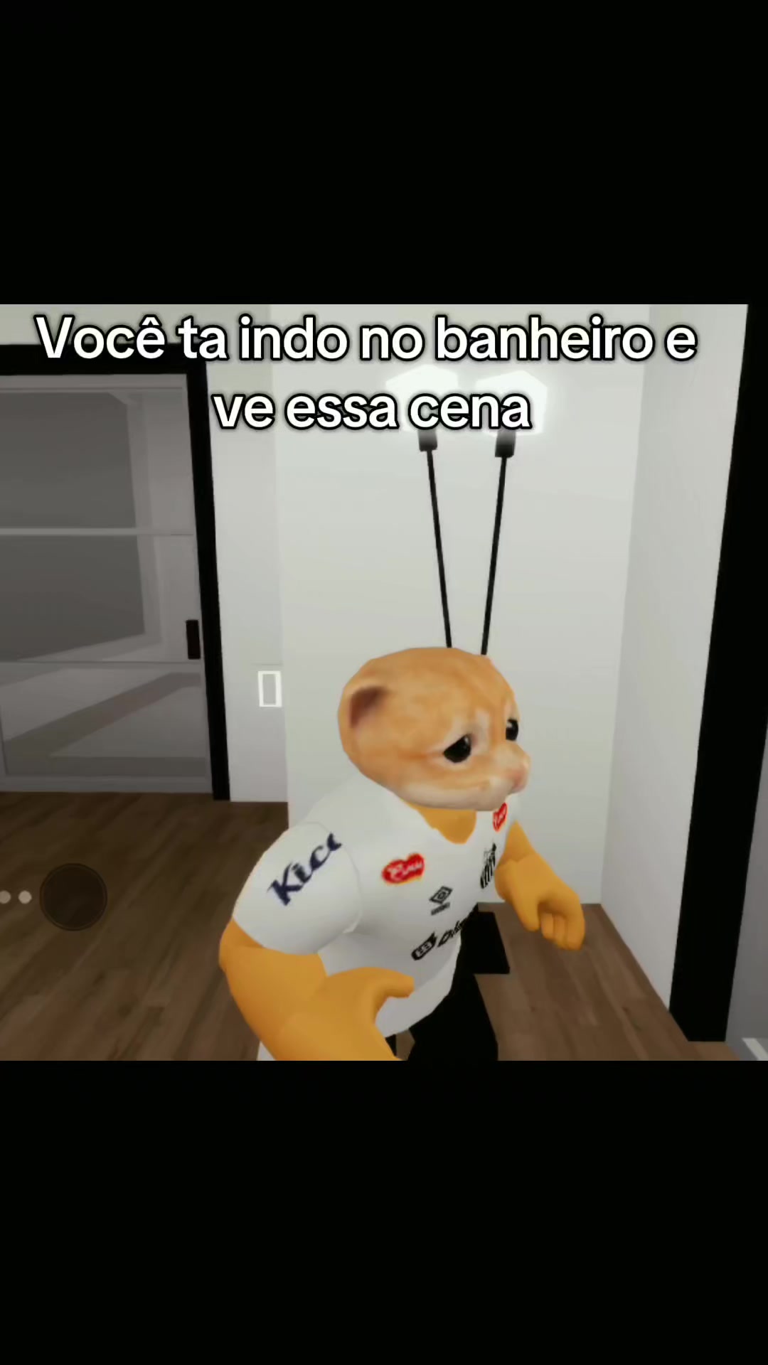 @Cat