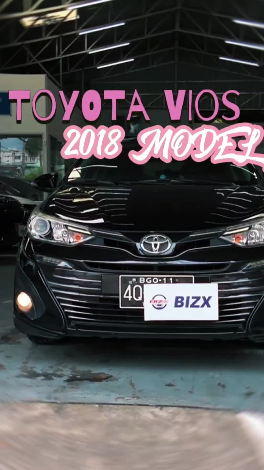 @BIZX MARLIC Motors