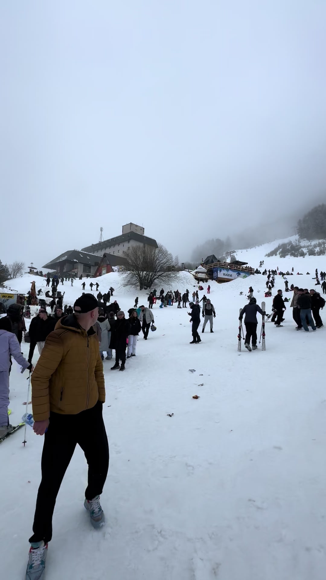 @BREZOVICA