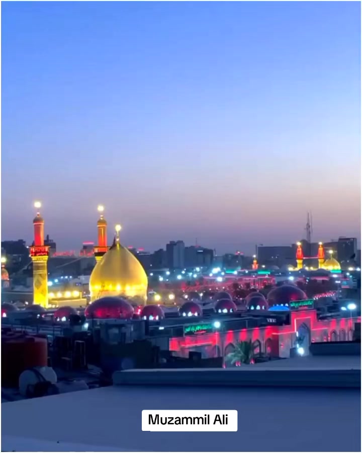 @Muزaمil Aلi
