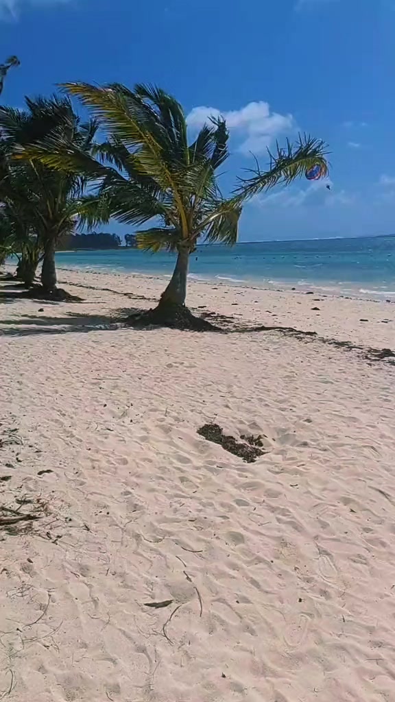 @Solo🇲🇺 🦤 🇲🇺
