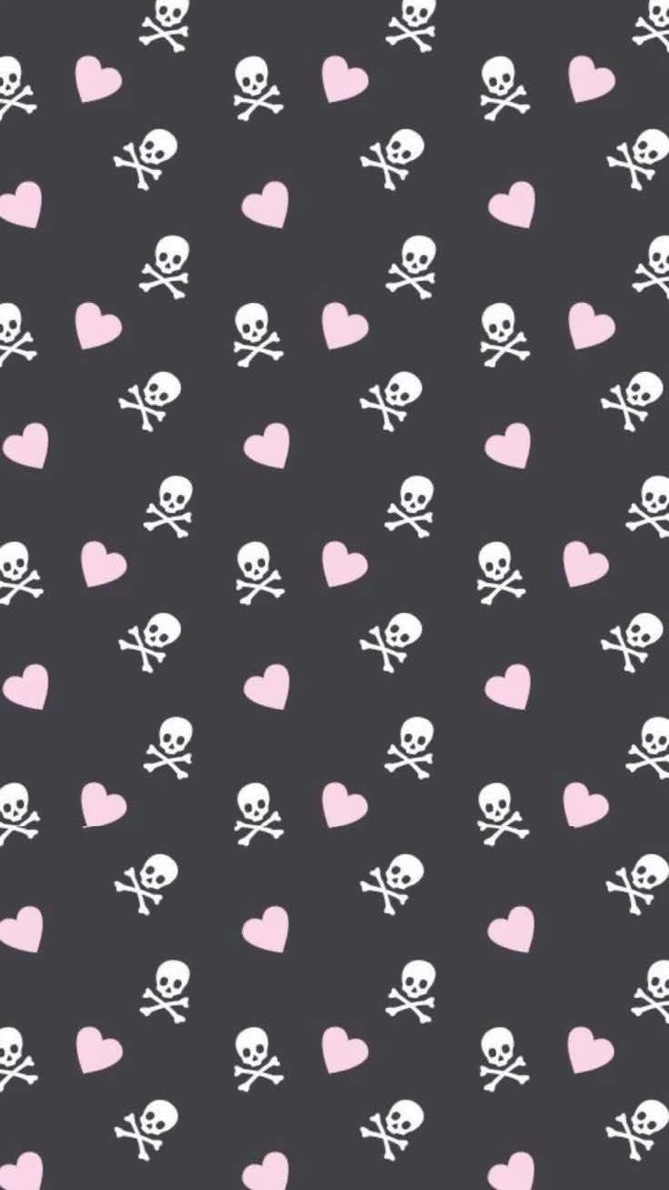 @≽^•⩊•^≼
