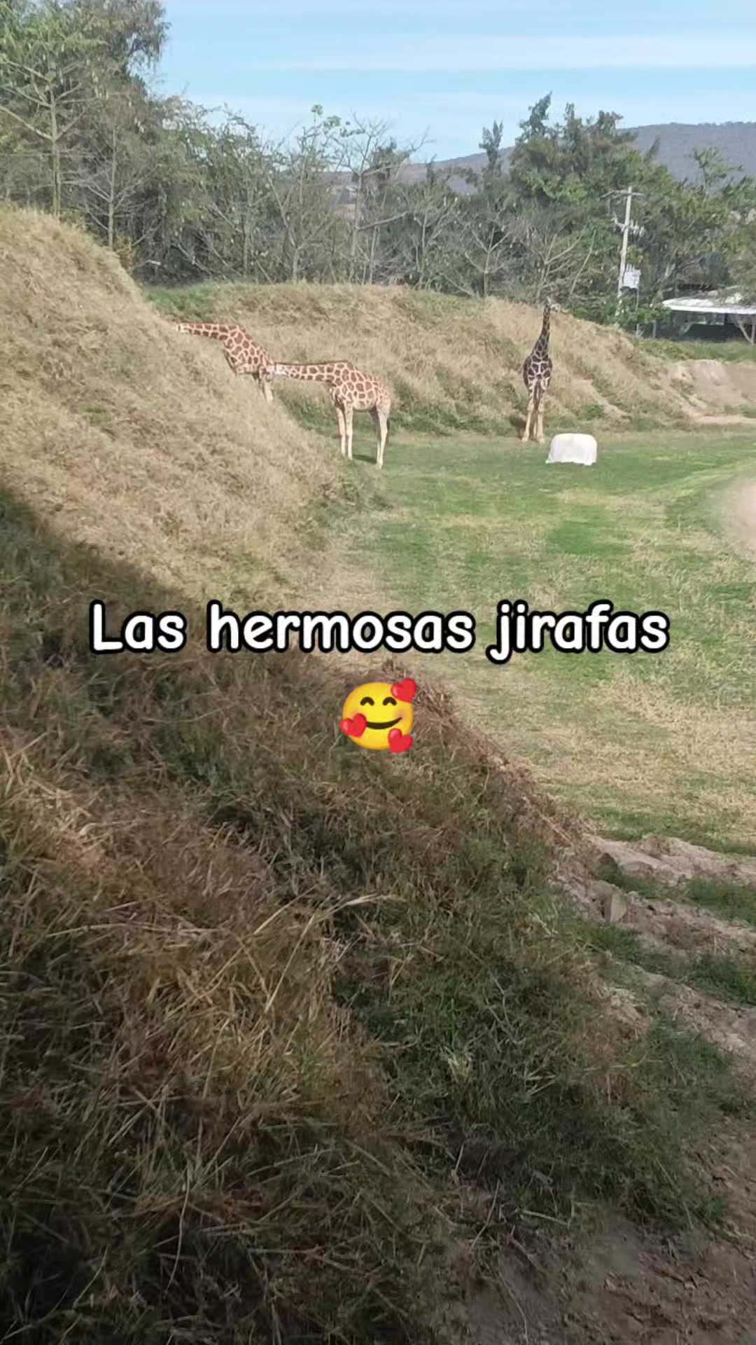 @Any ❤️