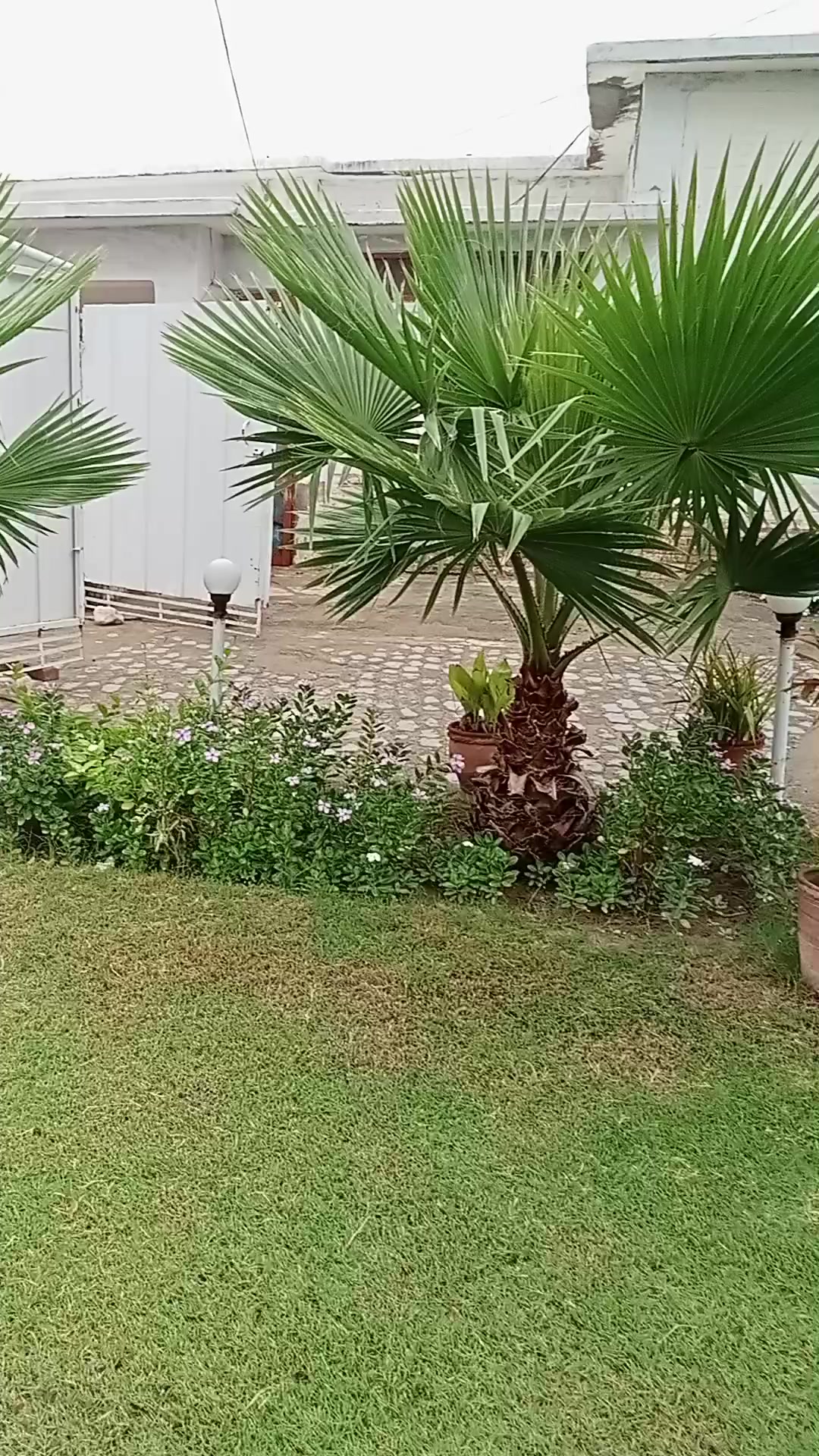@Aziz jan
