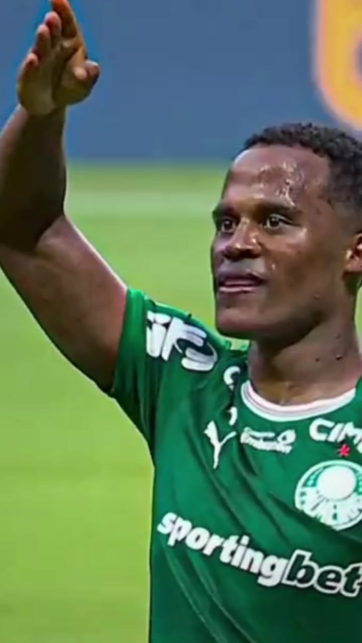 @palmeiras sempre
