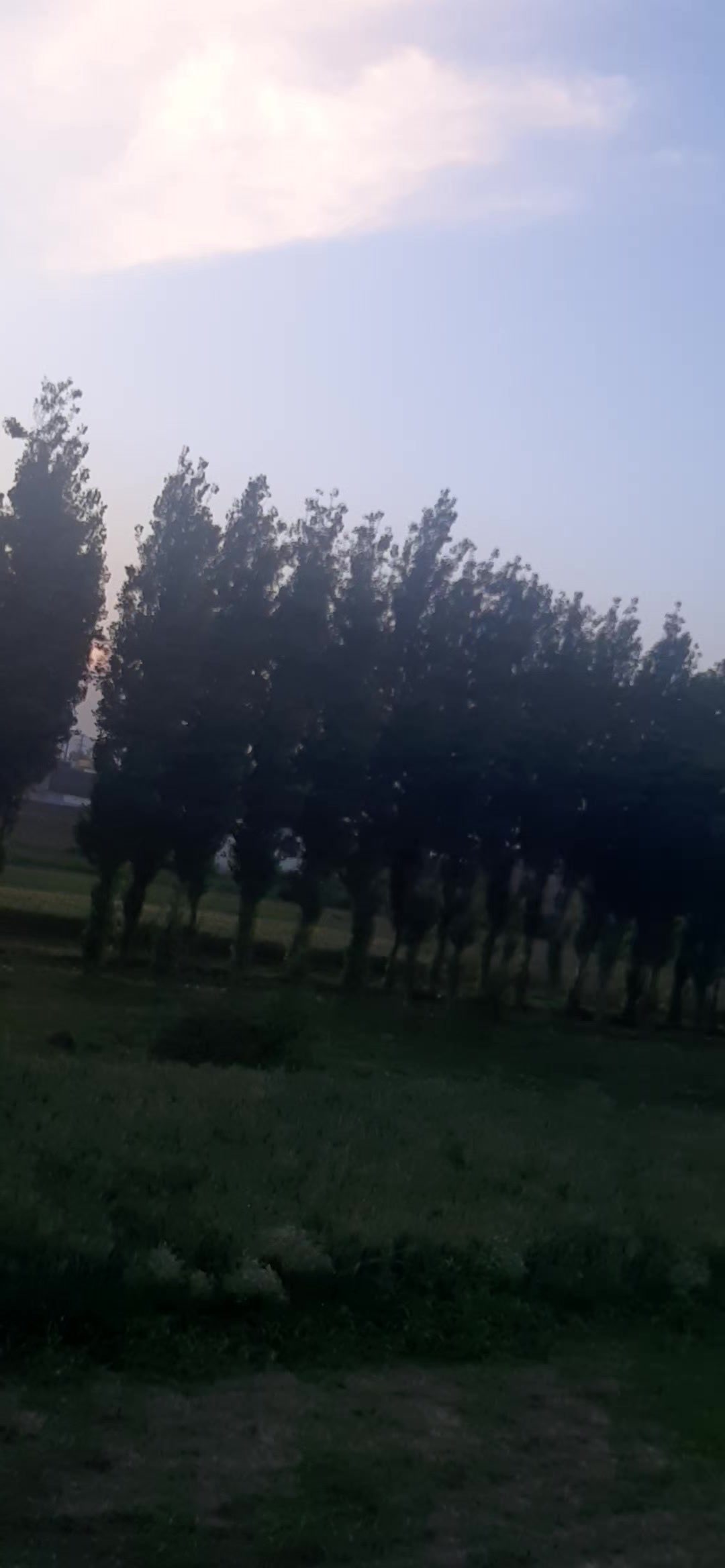 @Shumaila Akhtar