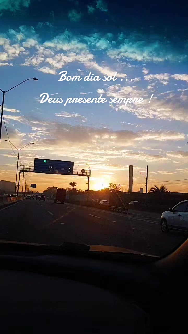@elisabetemoura962