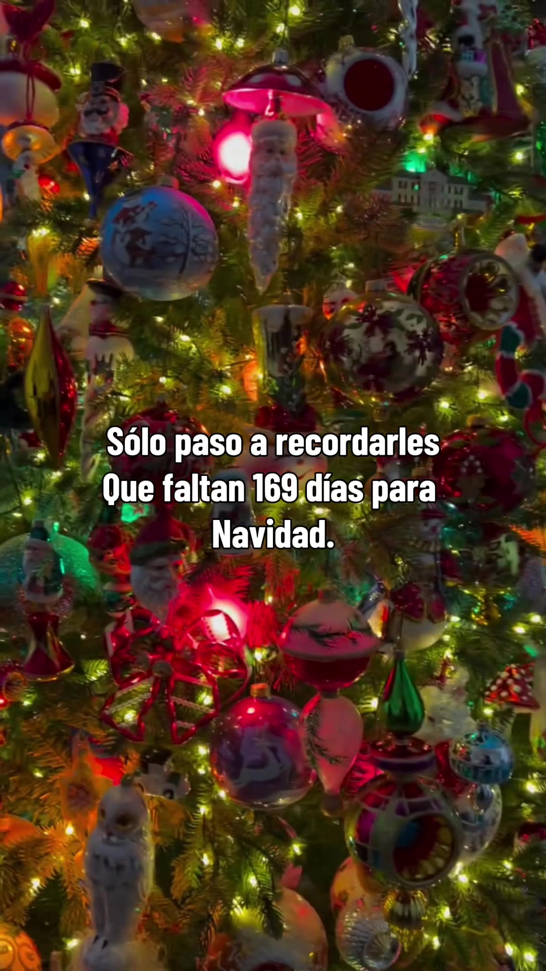 @Siempre Navidad