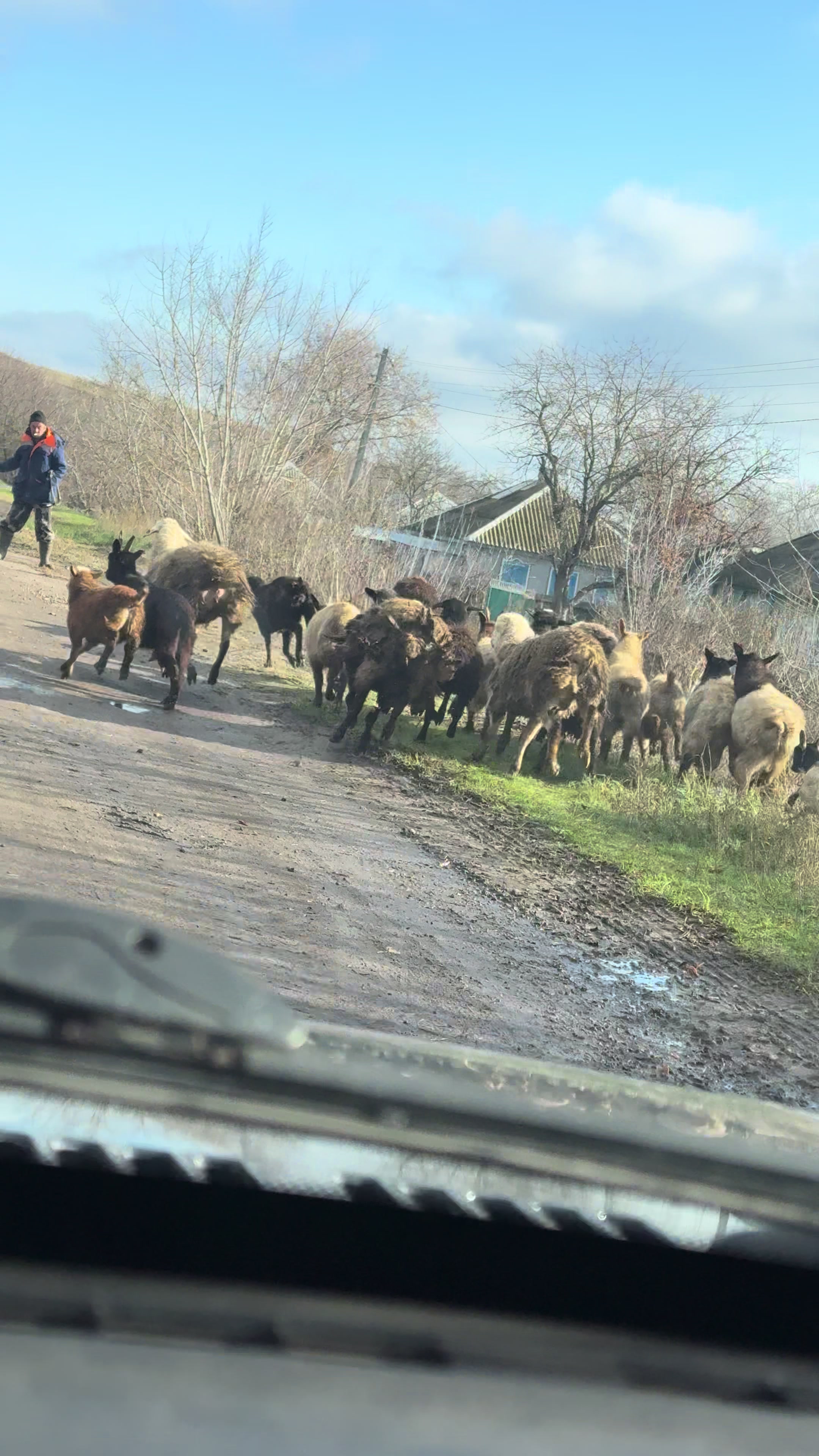 @Гриша