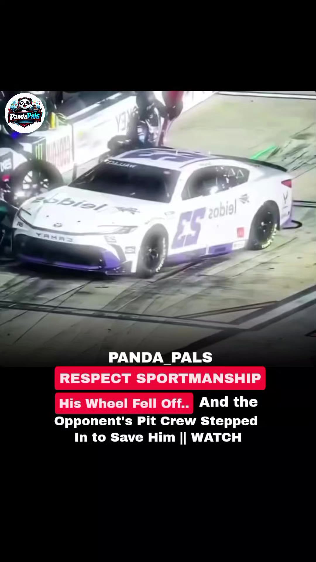 @PandaPals