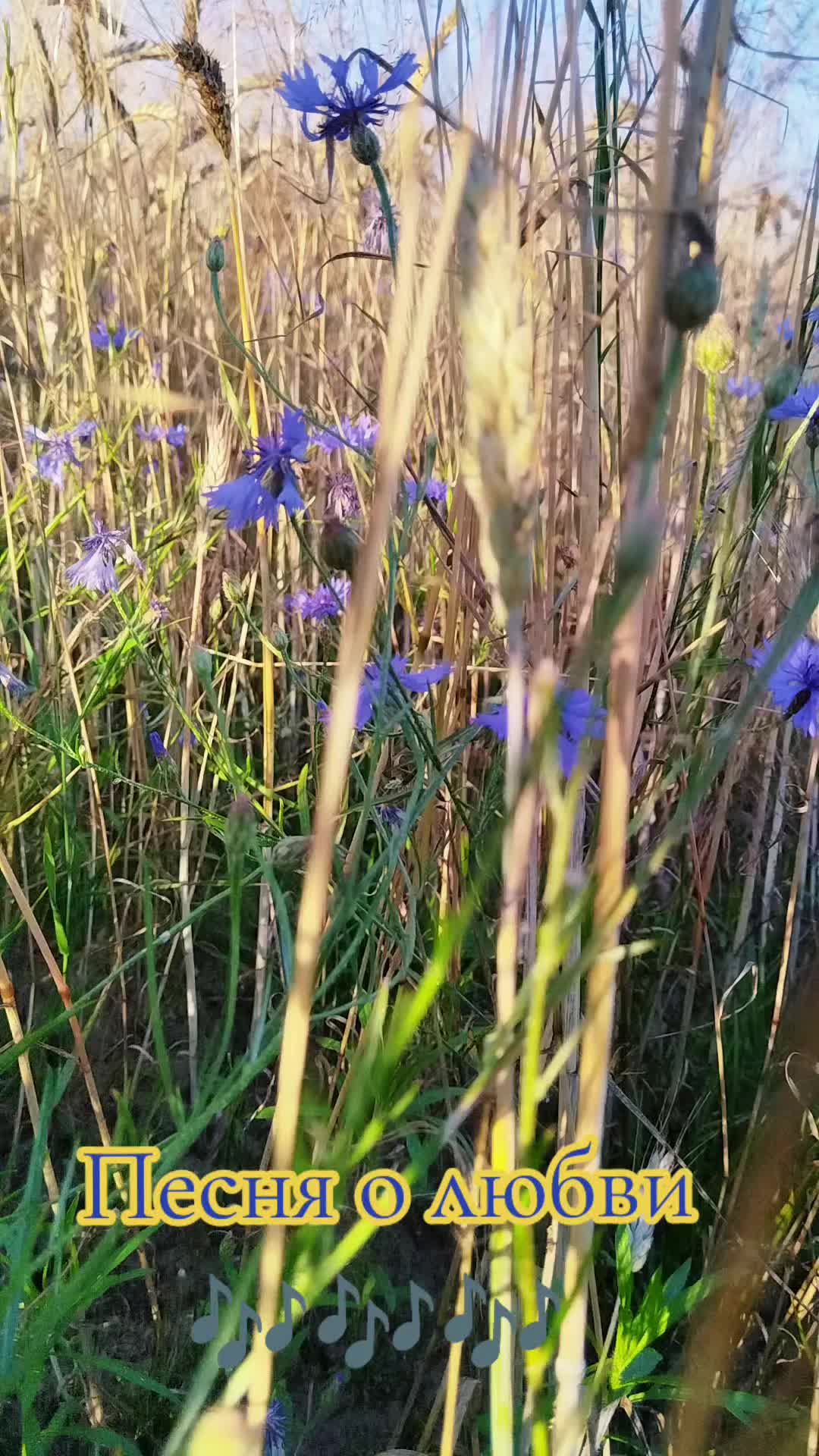 @danuta.2252*