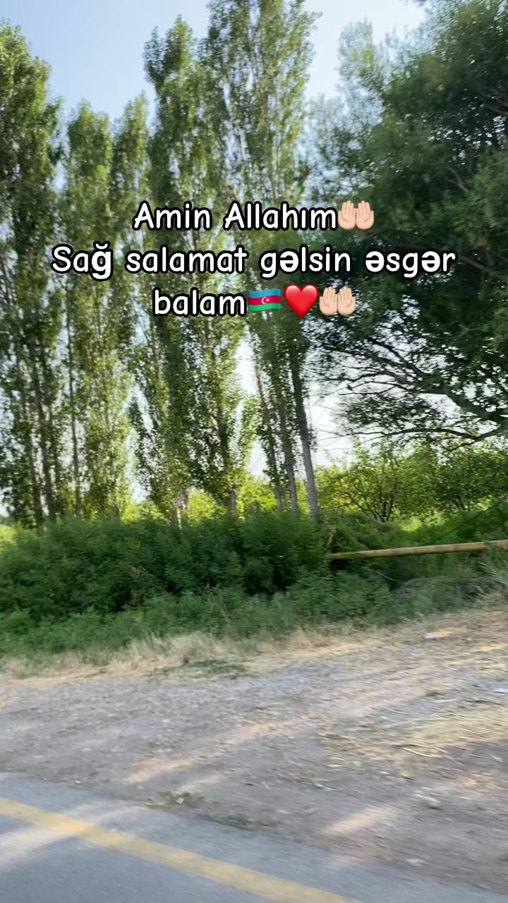 @_gulu_313