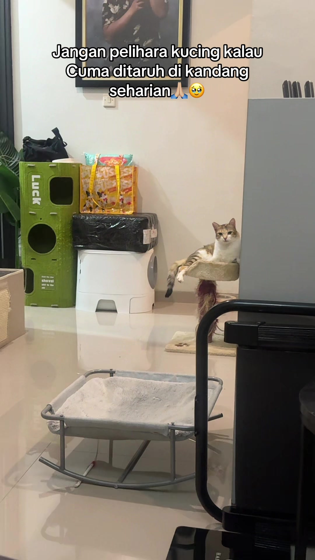 @Rapalguna | bapakkucing 🐱