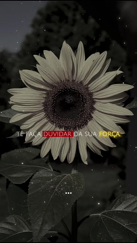 @Motivos para Viver