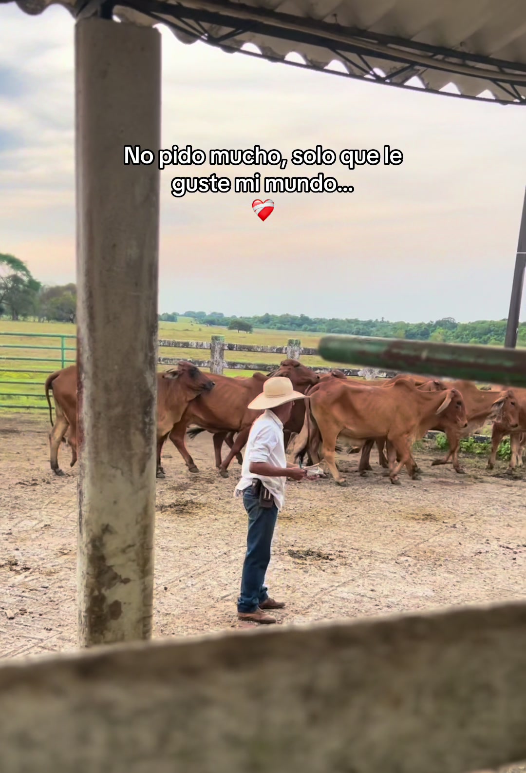@Manuel Perez