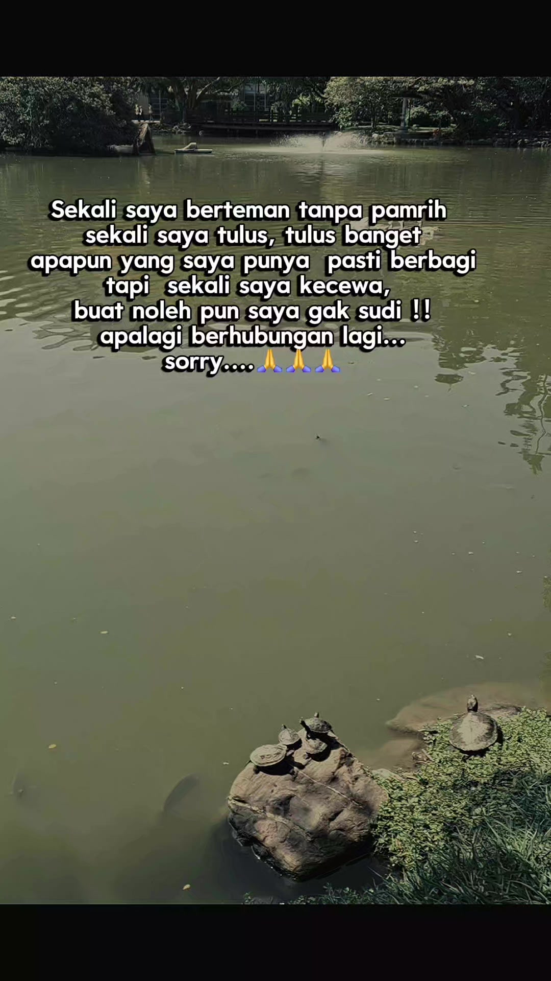 @Auelia Rahma
