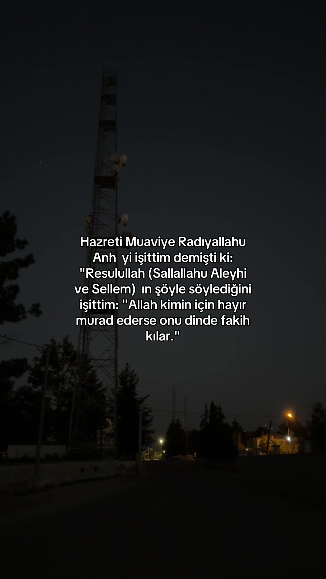 @ismailfidan6300
