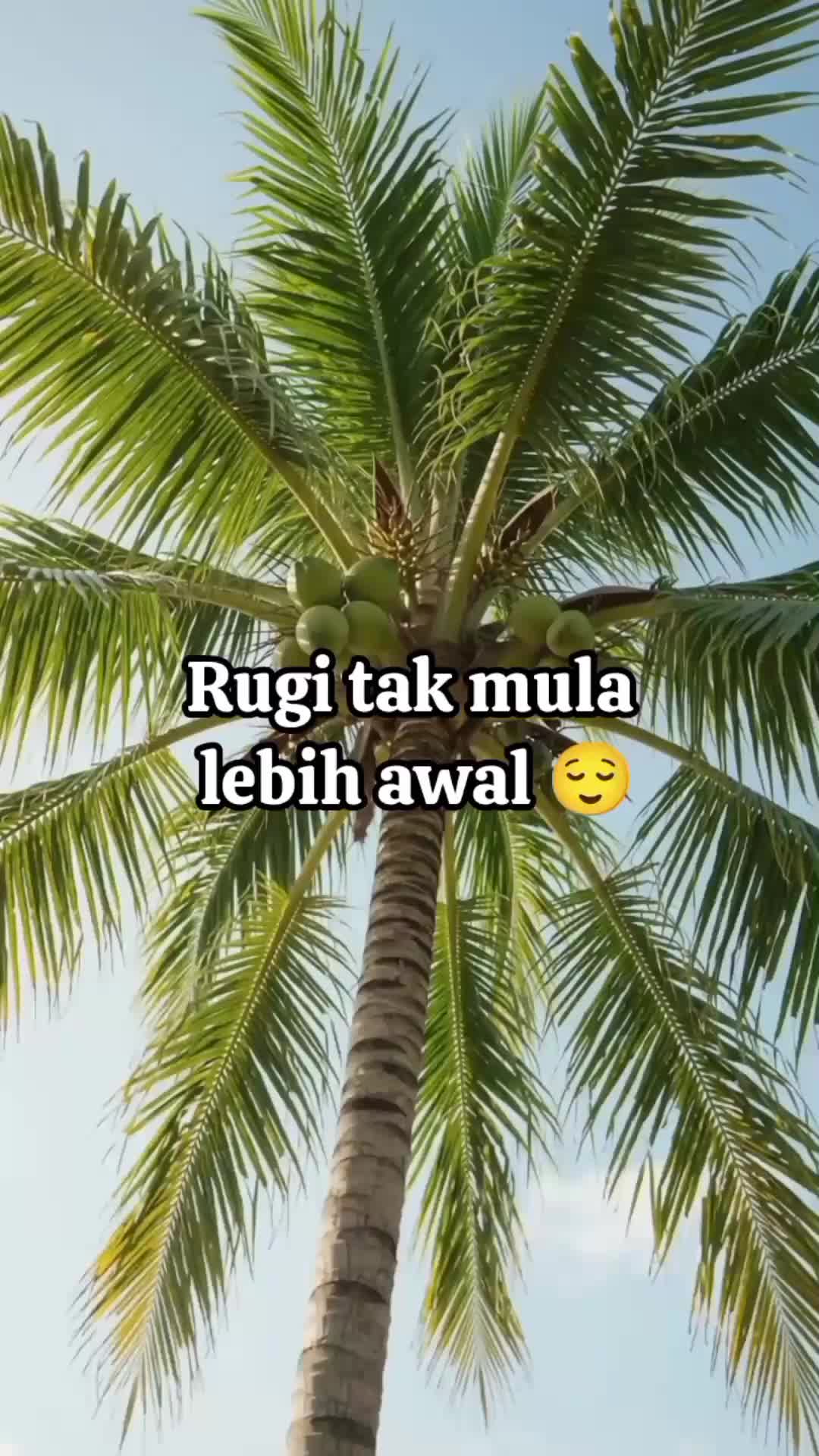 @DyzMayaHanz47