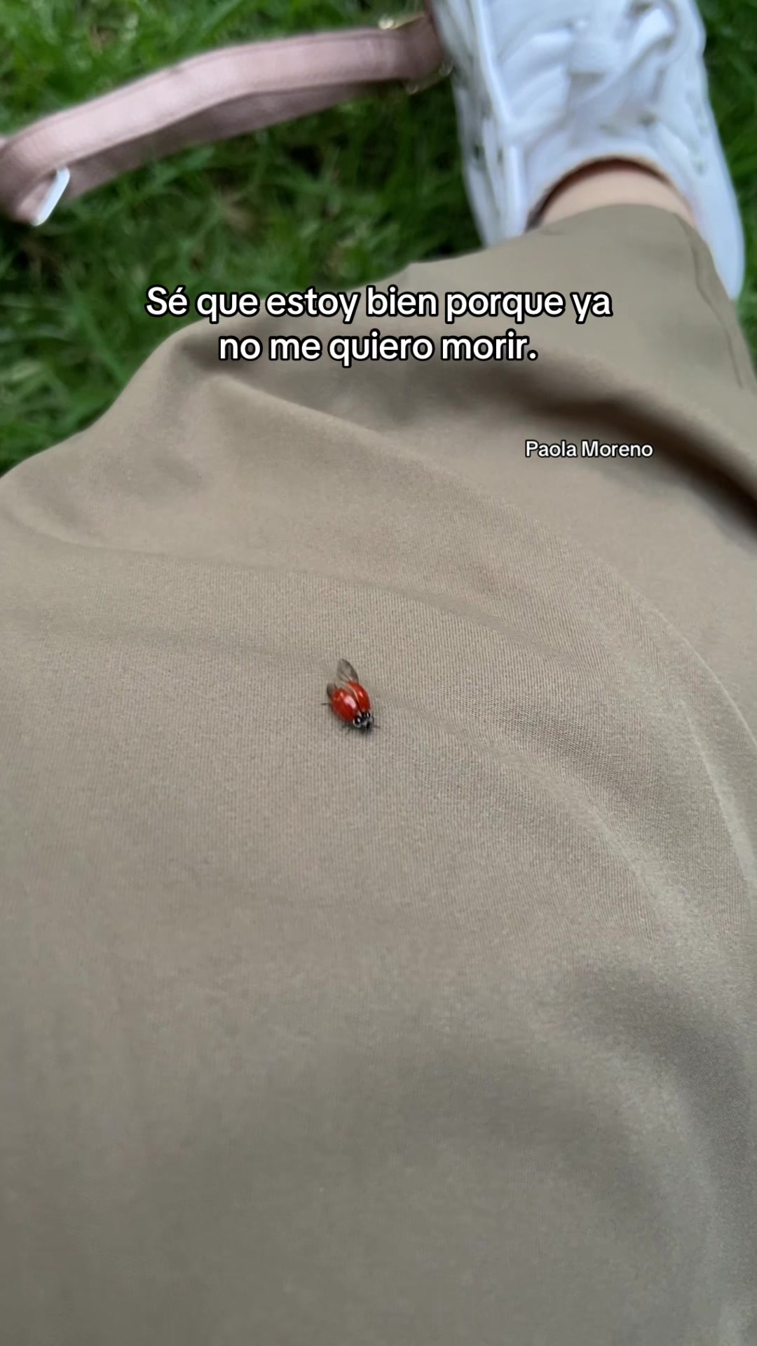 @Paola Moreno - Escritos ✍🏻