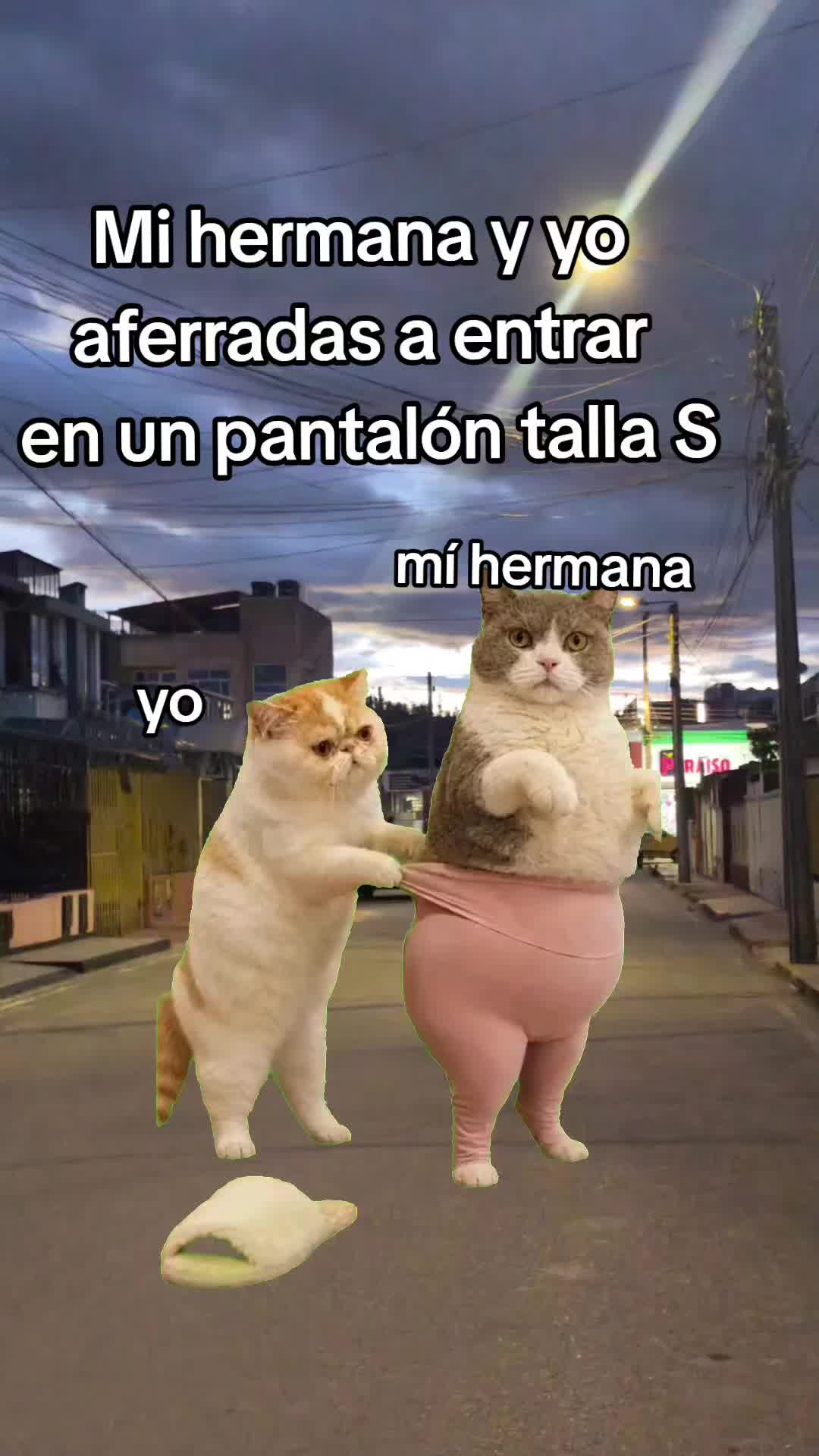 @Aleja  Ruiz