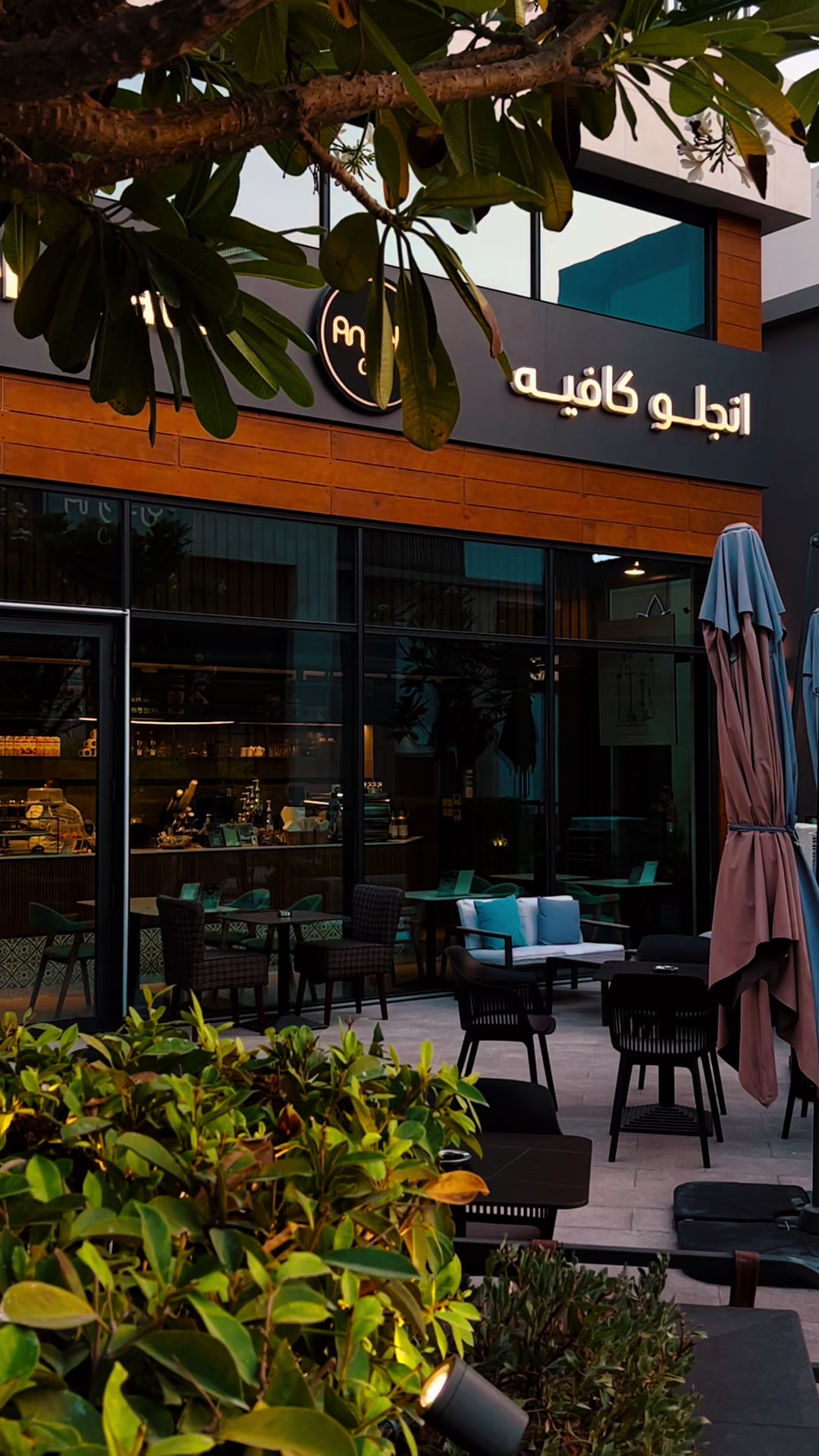 @Saleh💲Alaprs ☕️
