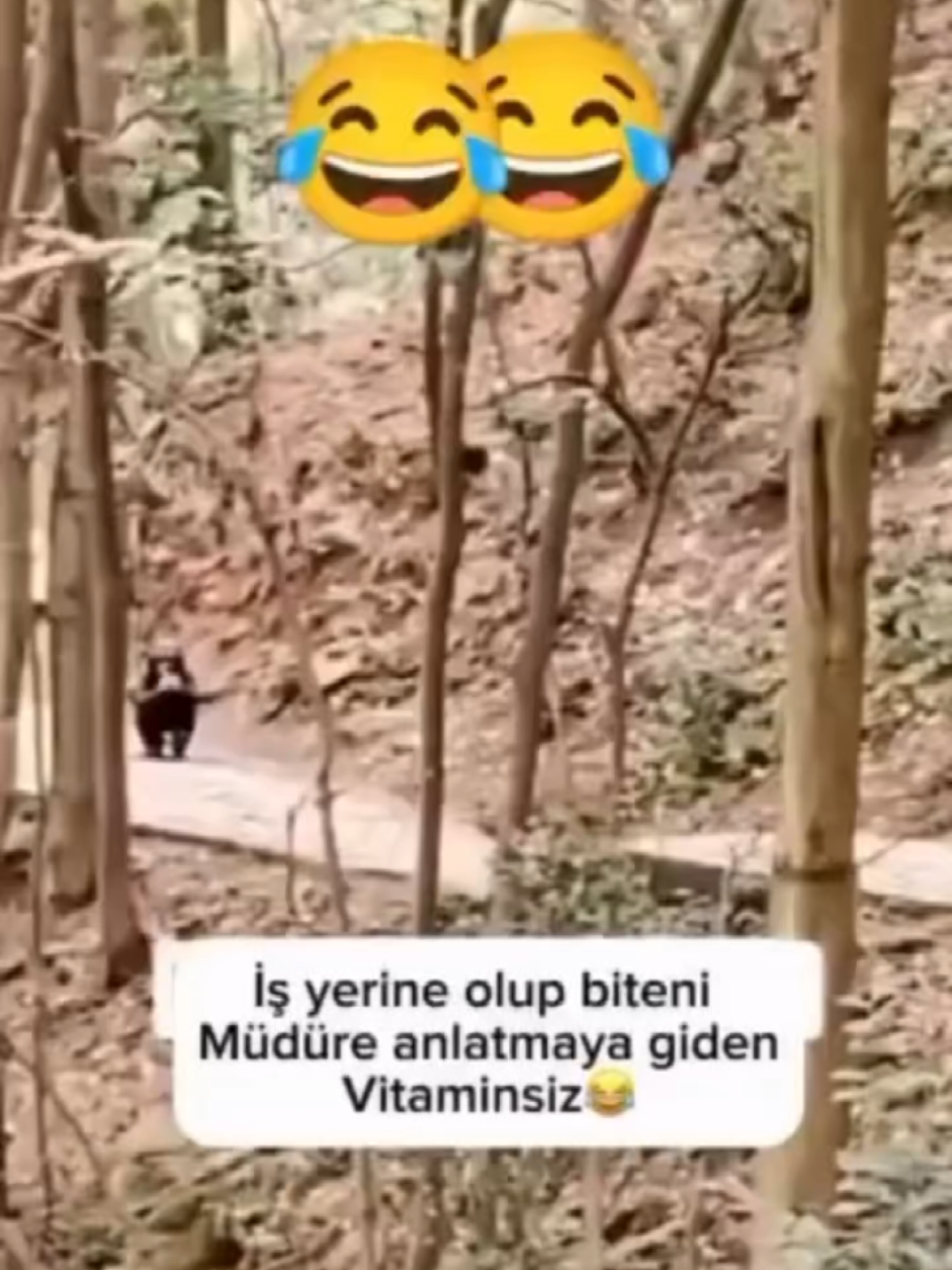 @Ayşe4242