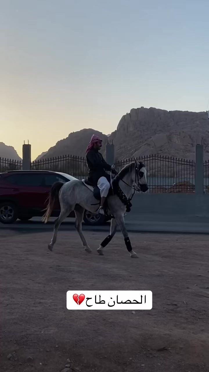 @سلطان بن عراكـ🌟