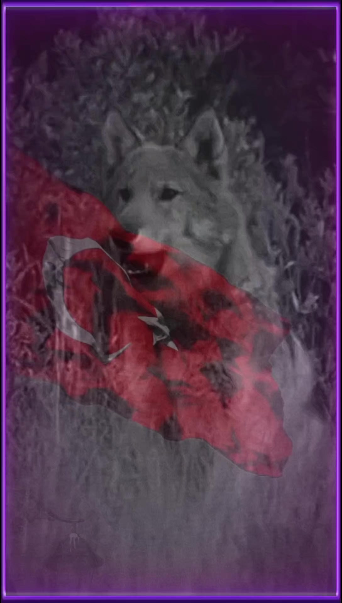 @𓆩ོ𝐭ᷜ𝚊ᷢ𝒄ᷧ͢𝘴ᷞ𝞲𝙯𓆪