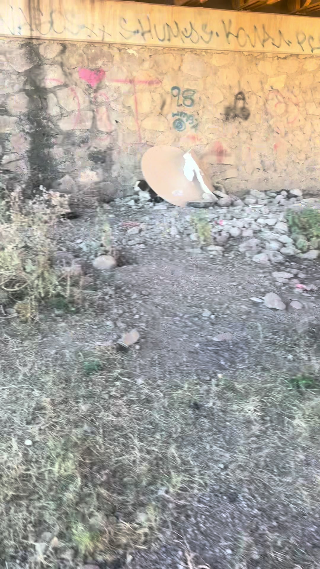 @user66580241748